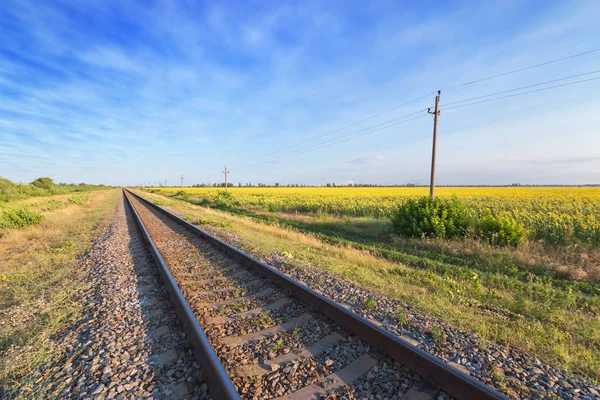 野原の近くを通る鉄道 — ストック写真