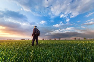 Yeşil bir tarlada gün batımı. Bir adam güneşe bakıyor.