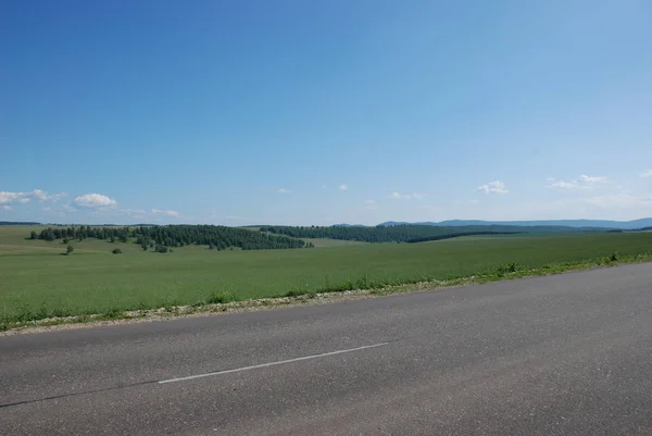 Yeşil alan ve orman ufukta yukarıda mavi gökyüzü