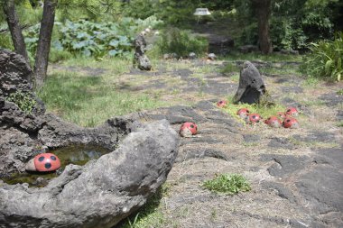 Asya tarzı bahçe kayalar ve taşlar