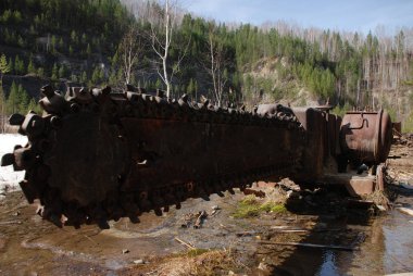 Eski büyük ormandaki yaşlı ocağında bahar zaman terk testere zincir