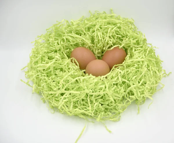 Yeşil yuvaya kahverengi yumurta buruşuk kağıt ob beyaz arka plan yaptı.
