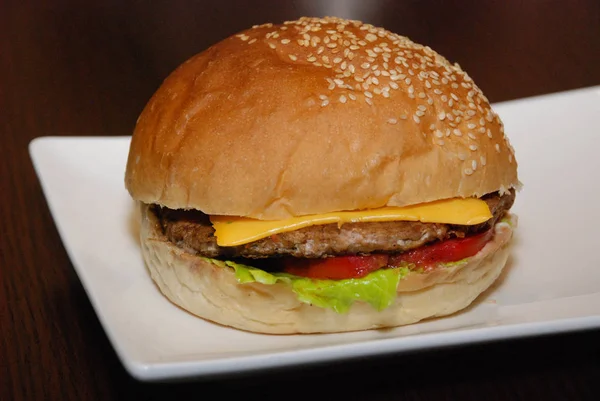 Hamburguesa Carne Pollo Plato Blanco —  Fotos de Stock