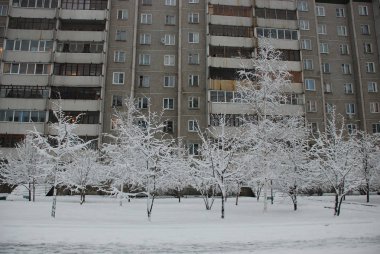 Şehirde taze kar var.