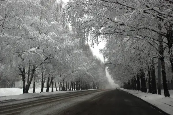 Şehirde taze kar var.