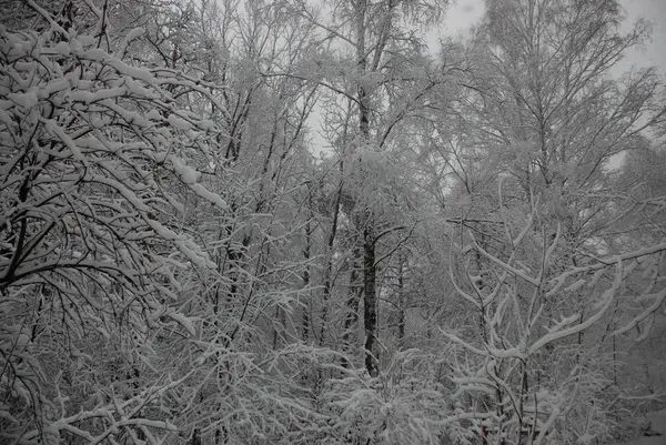 Neuschnee Der Stadt — Stockfoto