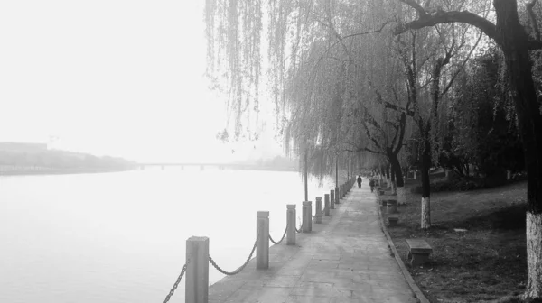 Das Ufer Des Flusses Mit Bäumen Und Fußweg — Stockfoto