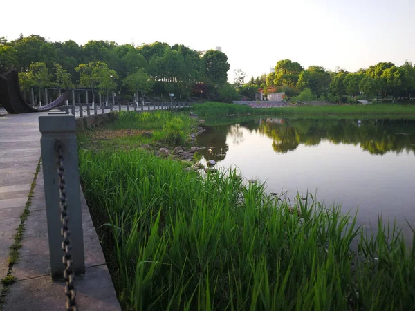 Озеро Міському Парку Місті Китай — стокове фото