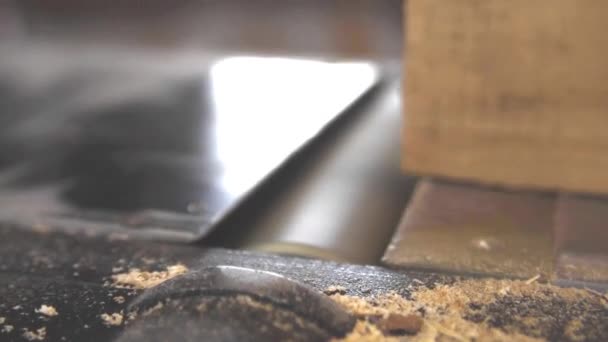Machine Preparing Piece Wood — Stock Video