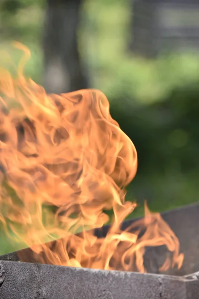 demir kutusunda alev