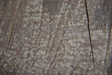 Ahşap doku arkaplanı