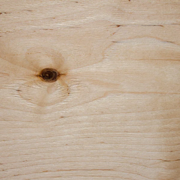 Fragmento de madera contrachapada. Textura . — Foto de Stock