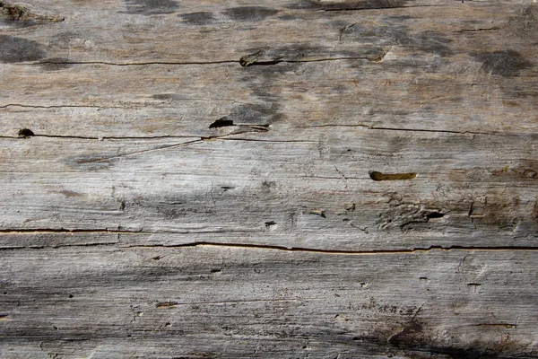 Torra spruckna trä textur — Stockfoto