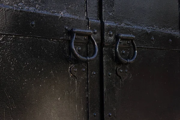 Drzwi zabytkowe kutego żelaza — Zdjęcie stockowe