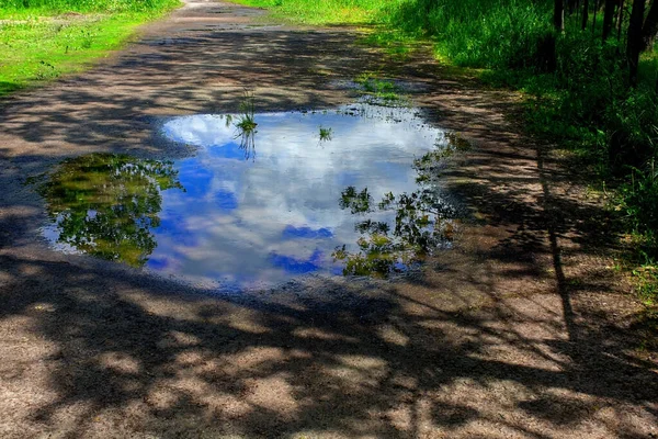 Une Flaque Eau Avec Reflet Ciel Avec Des Nuages Milieu — Photo