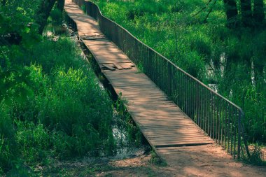 Bataklıklardan ve kalın sazlıklardan geçen eski tahta bir köprü. Yeşil bir sazlıkta küçük bir nehrin üzerindeki tahta köprü.