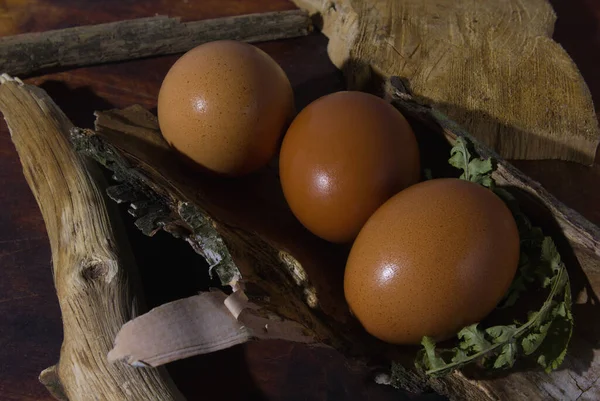 Hühnereier Liegen Einem Nest Aus Stöcken Und Gras — Stockfoto