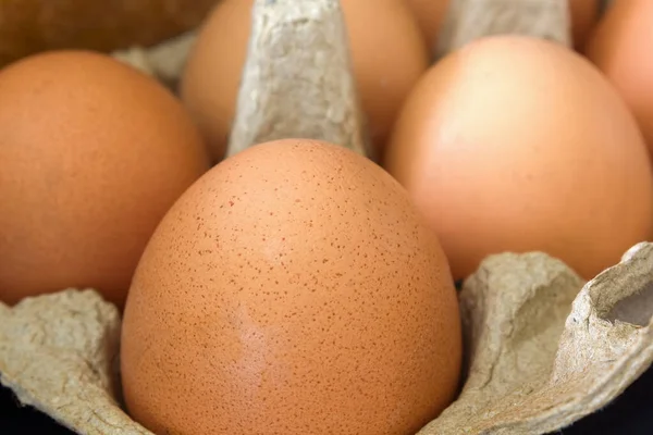 닭알은 알들의 뒷부분을 클로즈업 상자에 — 스톡 사진
