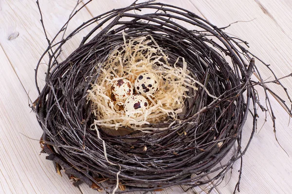 Hafif Ahşap Arka Plan Üzerinde Yuva Söğüt Dallarında Bıldırcın Yumurtası — Stok fotoğraf