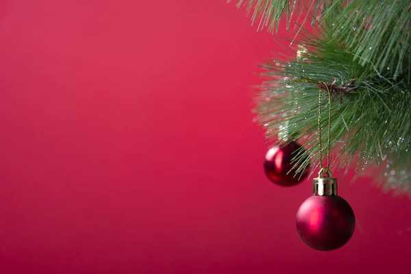 Boże Narodzenie sosna gałąź z czerwonymi kulkami zbliżenie na czerwonym tle — Zdjęcie stockowe