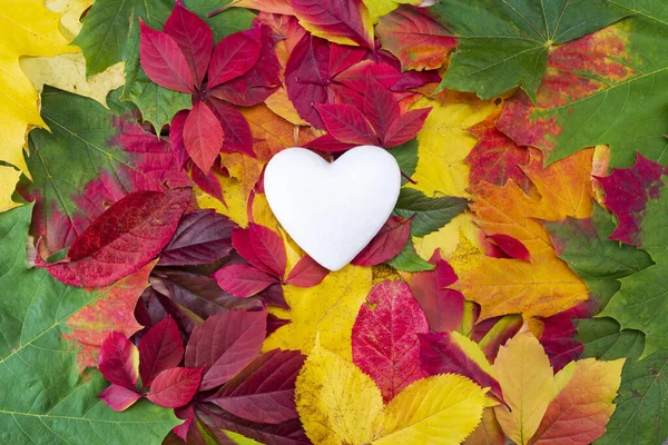 Coeur Blanc Sur Les Feuilles Colorées Automne Symbole Coeur Ouvert — Photo