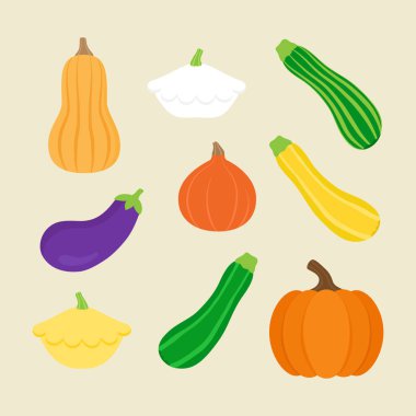 Mevsimsel kabak, kabak sebze vektör çizim set; kabak, butternut squash, patty pan kabak, yeşil, sarı ve çizgili kabak, hokkaido kabak ve patlıcan. Bej renkli arka plan üzerinde izole.