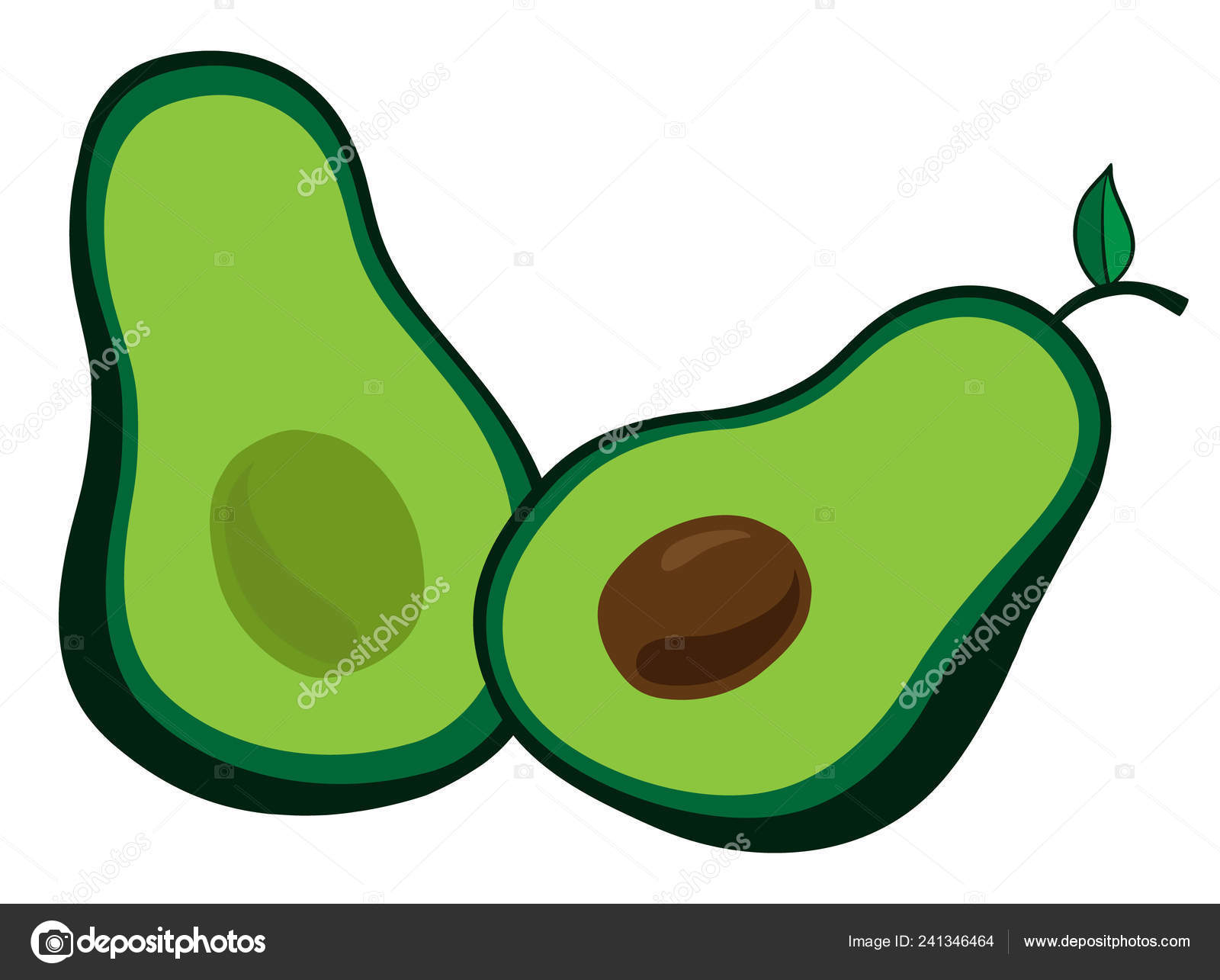 Whole Avocado Cut Half Skin Pulp Seed Green Avocado Vector Vector Image By C Kiki Vagnerova Gmail Com Vector Stock Whole Avocado Cut Half Skin Pulp Seed Green Avocado Vector Vector Image By C Kiki Vagnerova Gmail Com Vector Stock