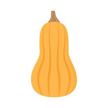 Açık turuncu tereyağlı ezme vektör çizimi. Kahverengi saplı sonbahar balkabağı, sebze grafik simgesi veya yazdırma, izole edilmiş. 