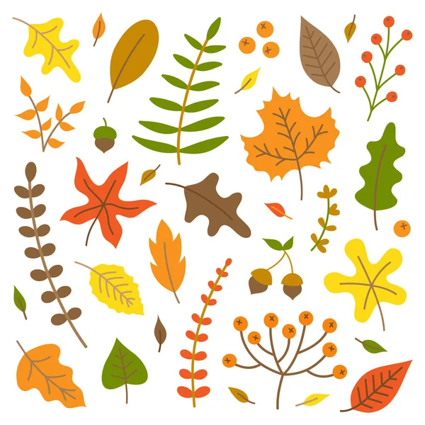 Colorido Otoño Hojas Vector Ilustración Conjunto Naturaleza Otoñal Colección Hojas — Vector de stock