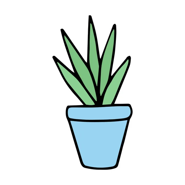 Schattige Kleine Cactussen Blauwe Plant Pot Vector Illustratie Doodle Cartoon — Stockvector