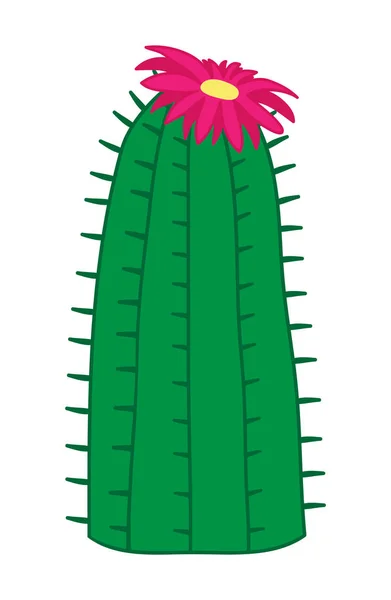 Mignonne Illustration Vectorielle Cactus Plante Cactus Vert Avec Fleur Rose — Image vectorielle