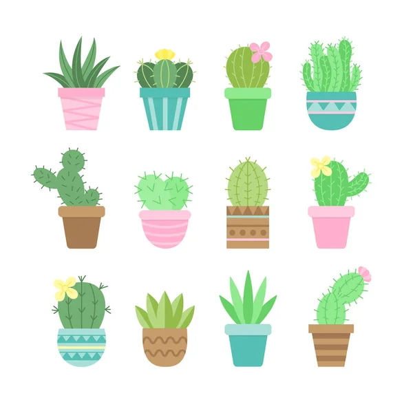 Rozkošná Kaktusová Sada Různé Typy Kaktusů Vzorované Květináči Vektorová Ilustrace — Stockový vektor
