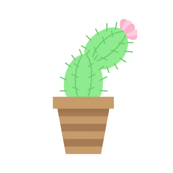 Lindo Cactus Maceta Marrón Con Patrón Ilustración Vectorial Suculenta Aislada — Vector de stock