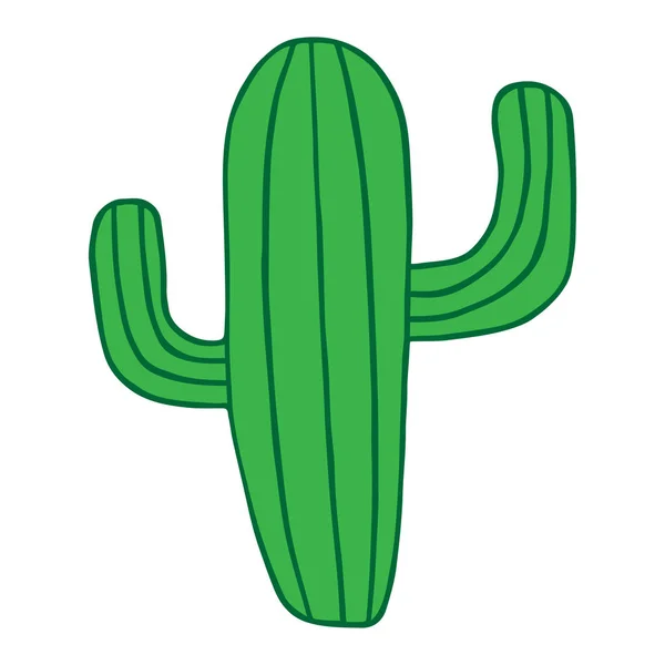 Grüne Kaktuspflanze Isolierte Vektorillustration Zeichnung Mexikanischer Kaktus — Stockvektor