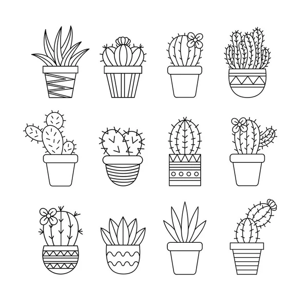 Cute Cactus Set Verschillende Soorten Cactussen Gedessineerde Plantenpotten Vectorillustraties Sappig — Stockvector