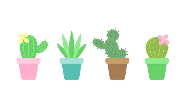 Cute Cactus Set Vier Verschillende Cactussen Kleine Plant Potten Vectorillustraties — Stockvector