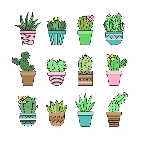Cute Cactus Set Verschillende Soorten Cactussen Gedessineerde Plantenpotten Vectorillustraties Sappig — Stockvector