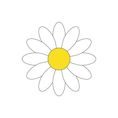 Basit beyaz papatya çiçek vektör illüstrasyon grafik, beyaz arka planda izole.