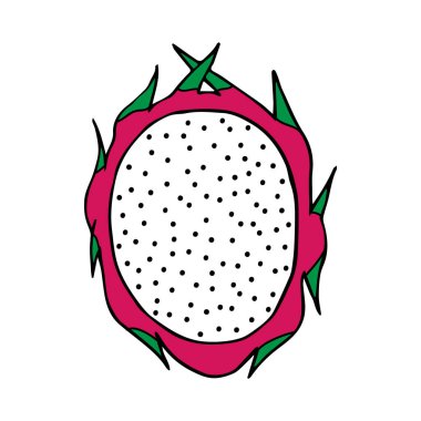 Ejderha meyve vektör Doodle illüstrasyon çizim. Beyaz arka planda izole ejderha meyve simgesinin yarısı.