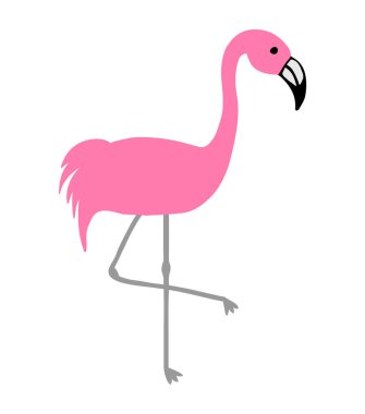 Pembe Flamingo vektör illüstrasyon karikatür çizim. 
