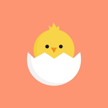 Çatlak yumurta vektör grafik illüstrasyon sevimli küçük civciv. Paskalya temalı, sarı tavuk karikatür çatlak yumurta kabuğu, turuncu arka planda izole.