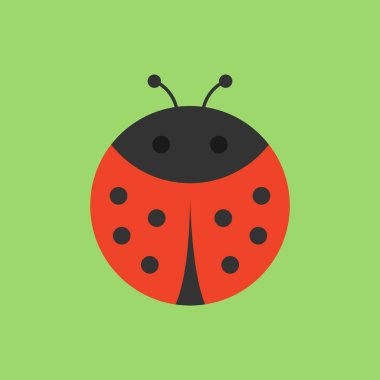 Sevimli Ladybird yuvarlak vektör grafik simgesi. Siyah ve kırmızı uğur böceği böceği, böcek hayvan kafası, vücut illüstrasyon. Yeşil arka planda yalıtılmış.