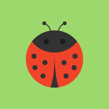 Cute ladybird round vector graphic icon. Black and red ladybug beetle, insect animal head, body illustration. Isolated on green background. clipart