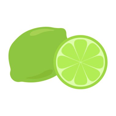 Beyaz arka planda izole gölge ve ışık yansıma Doodle karikatür vektör illüstrasyon ile yeşil kireç Narenciye meyve. Bütün parça ve dilim.