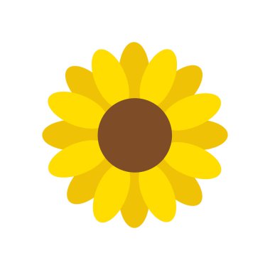 Ayçiçeği vektör grafik illüstrasyon, ayçiçeği çiçeği beyaz arka planda izole.