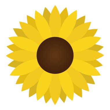 Ayçiçeği vektör illüstrasyon, ayçiçeği çiçeği beyaz arka planda izole.