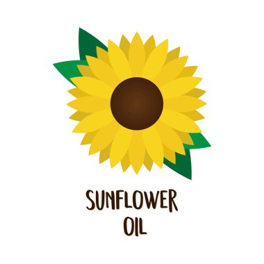 Ayçiçeği yağı baskı, vektör illüstrasyon ayçiçeği çiçeği ve yeşil yaprak yazma ile çizim. Beyaz arka planda yalıtılmış.