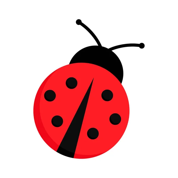 Ladybug Lieveheersbeestje Vector Grafische Illustratie Geïsoleerd Schattig Eenvoudig Plat Ontwerp — Stockvector