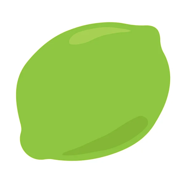 Grüne Limette Zitrusfrüchte Mit Schatten Und Lichtreflexion Doodle Cartoon Vektor — Stockvektor