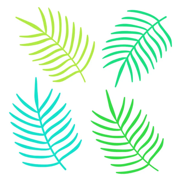 Renkli Yaz Tropikal Palmiye Yaprakları Seti Vektör Illüstrasyon Izole — Stok Vektör